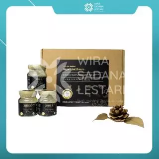 Realfit Dynasty Isi 12 Royal Wellness